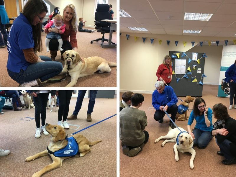 'Meet the Guide Dogs' event at UBC Cirencester